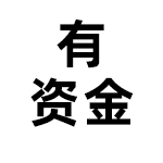 有资金